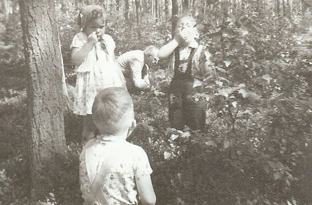 bosbessen plukken met pa in het Baarnse bos